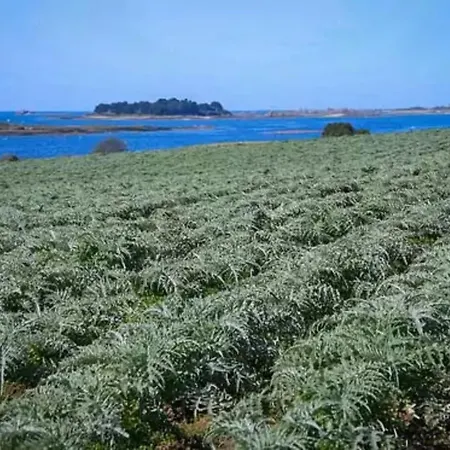 Maison Raguenez 4 Places Proche Paimpol Et Treguier 度假居 *